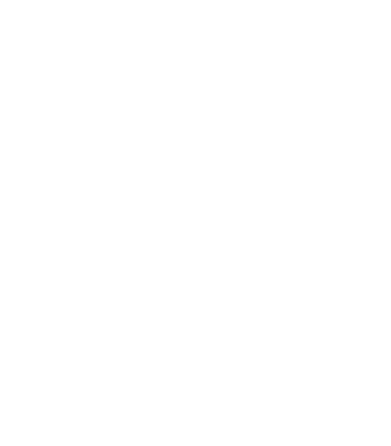 Team Zaeem logo